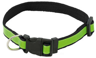 visibility dog´s collar 3. picture