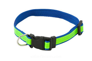 visibility dog´s collar 2. picture